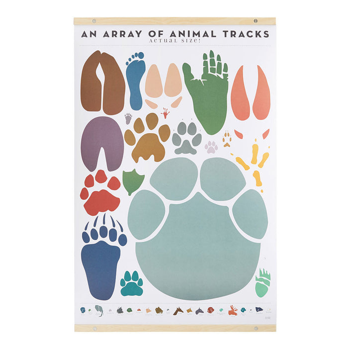Animal Tracks Chart